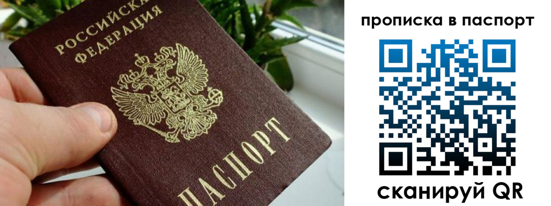 временная регистрация поиск в Вятских Полянах